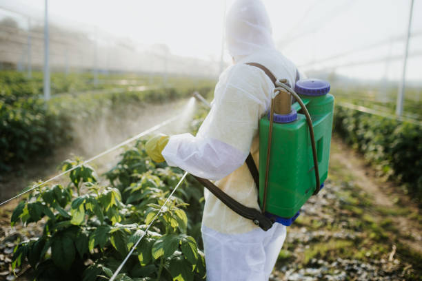 Best Bird Control  in Coronita, CA
